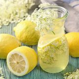 REX Saftflasche 500ml - 6 St�ck RR60