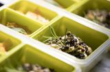 emsa 0,55L Clip & Go Snackbox mit 2 Eins�tzen