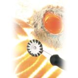 Westmark Teigrad Gentle