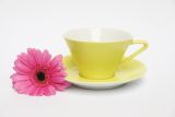 Lilien-Porzellan Daisy Teetasse Gro� 20 Vanille