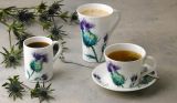 Roy Kirkham Jumbotasse + Untertasse THISTLES